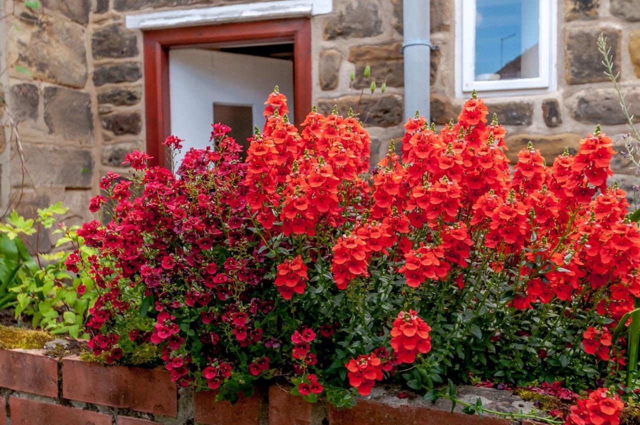 Chimes Cottage Guisborough Extérieur photo